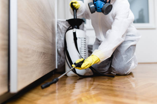 Best Flea Control Services  in Norton Shores, MI
