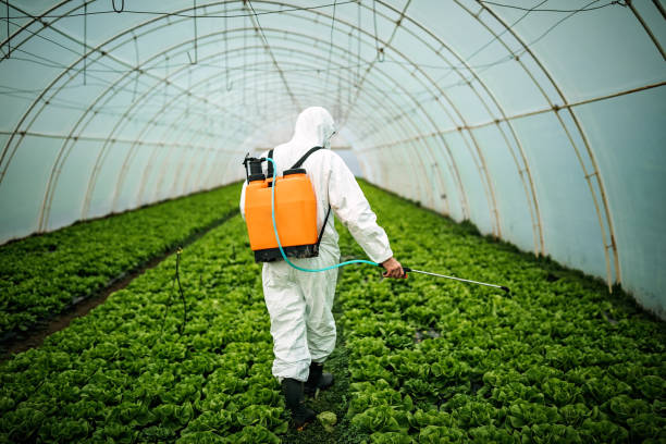 Best Local Pest Control Services  in Norton Shores, MI