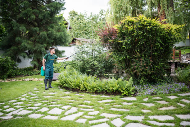 Reliable Norton Shores, MI Pest Control Solutions