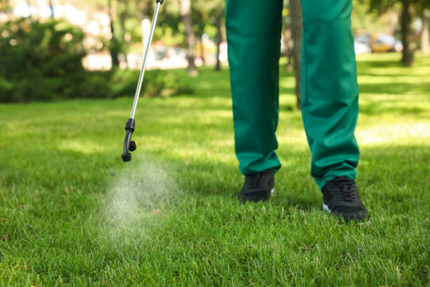 Best Pest Control for Restaurants  in Norton Shores, MI